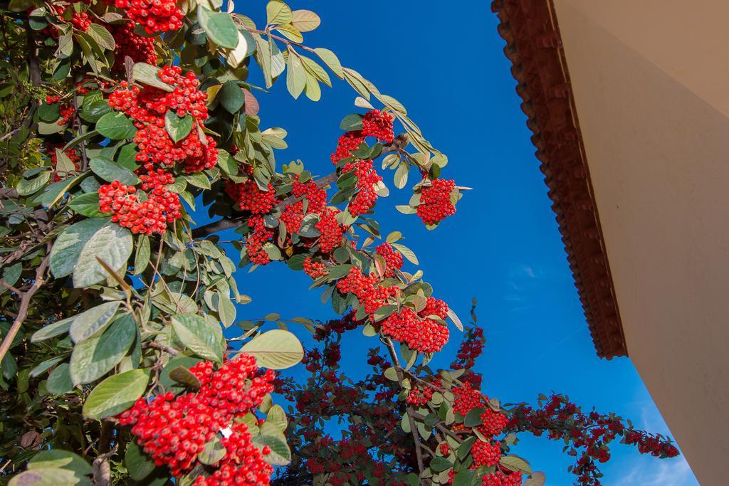 Tu Casa En Barcelona Villa Sant Cugat del Valles Room photo